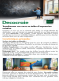 Newsletter August 2024